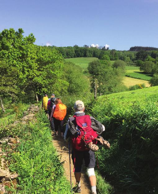 This is the fifth year that the MSC Vocations team have organised the pilgrimage, and Vocations Director Fr Alan Neville MSC reflects on the fact that we would do well to learn a lesson from the
