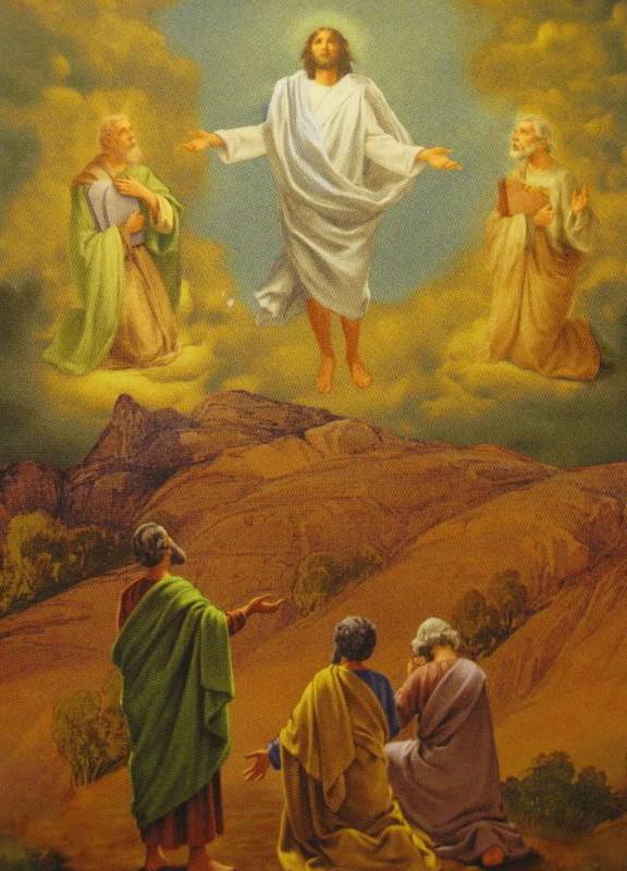 The Transfiguration Jesus (Gospel) fulfills the Law (Moses) and the Prophets (Elijah) Now we are told to Listen to Him.