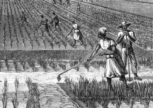 Carolina, 1670 Ties to British West Indies Produced Rice and Indigo First colony with a majority black