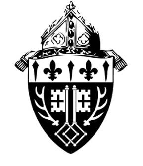 Diocese of Marquette Registration and Application Form for Recognized Catholic Lay Organizations Date of Application Name of Organization Contact person name Address City Zip code Phone number: Email
