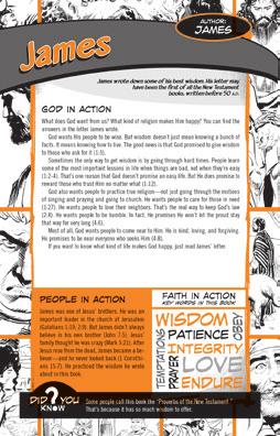 Distinct icons that appear next to stories featured in the The Action Bible.