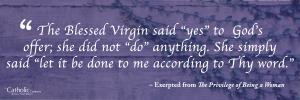 Wow. Mary s virtues may seem overwhelming to us, but don t worry. They re not as daunting as they may seem.