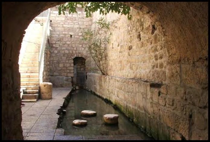 Day 10 Wednesday May 16 - Jerusalem Early morning, we will arrive at the City of David. We will walk through the ancient tunnels and see Gihon Spring.