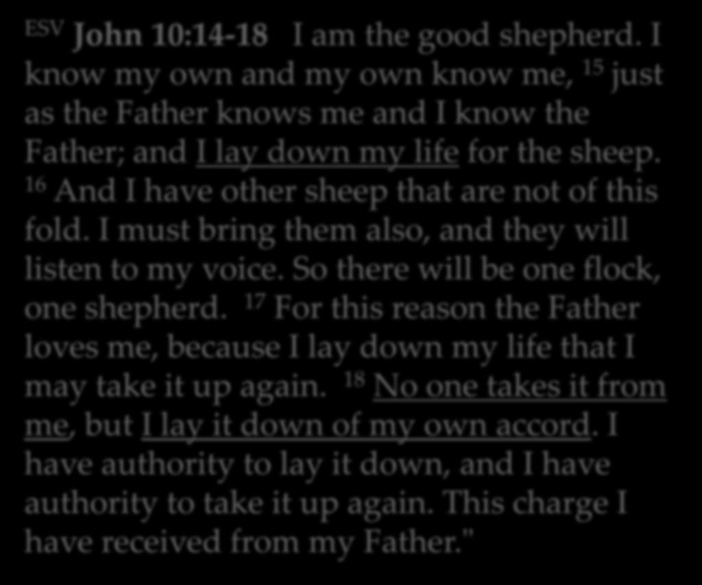 16 And I have other sheep that are not of this fold. I must bring them also, and they will listen to my voice.