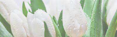 EASTER MEMORIALS The Easter Flowers in the Church are offered to the greater glory of God and in loving memory of: Our parents, Leo and Frances Edwards, and loved ones by Darlene, Wayne, Terry and