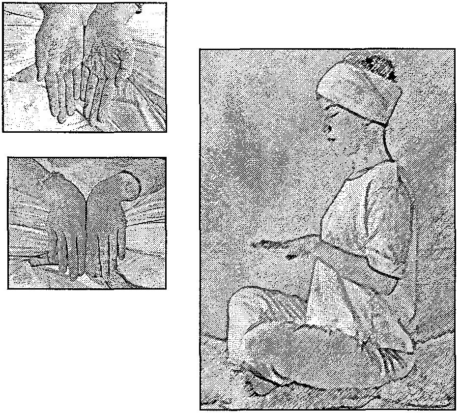 Originally taught by Yogi Bhajan in 1996 Medi-ta-tion Fo r Prosperi-ty II Sit in Easy Pose, with a light jalandhar bandh. EYE POSITION: Focus at the tip of the nose, through eyes 9/ loth closed.