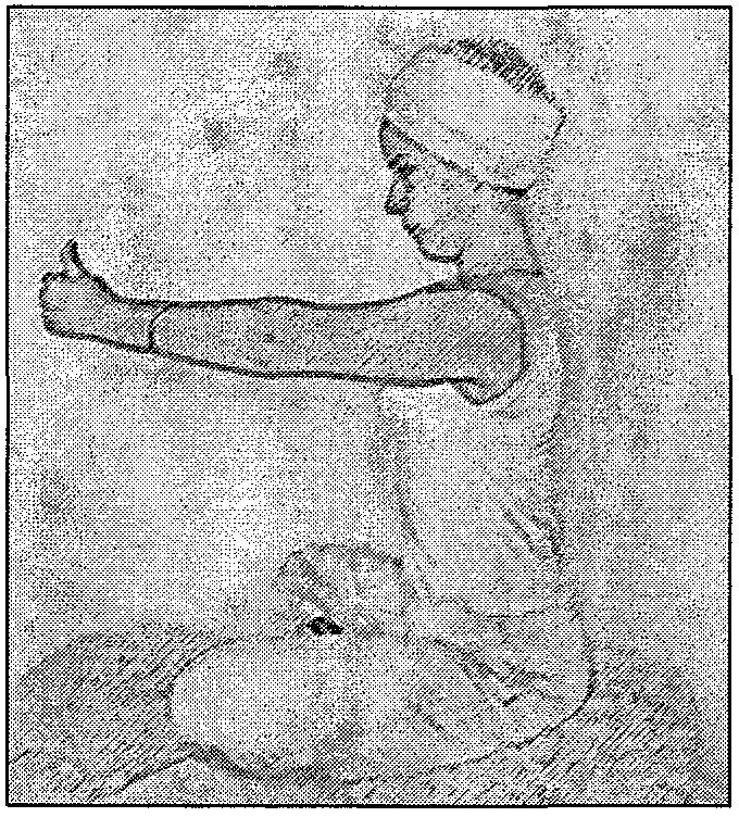 Originally taught by Yogi Bhajan in October 1979 Th e Caliber of LiFe Mec:lif:af:ion Sit in an Easy Pose, with a light jalandhar bandh.