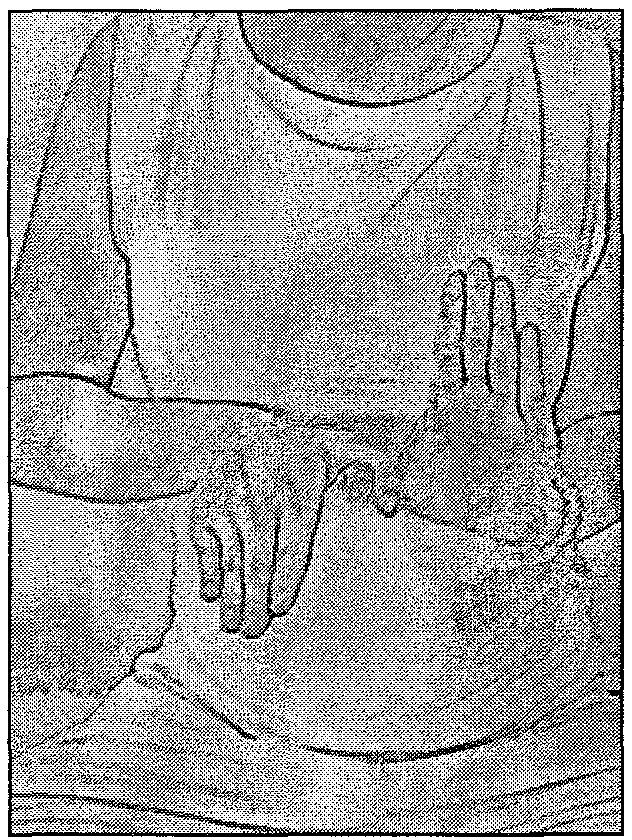 Composite Polarity Mudra Meditation Originally taught by Yogi Bhajan in November 1978 Sit in an Easy Pose, with a light jalandhar bandh. EYES: Fix the eyelids 1/IOth open.