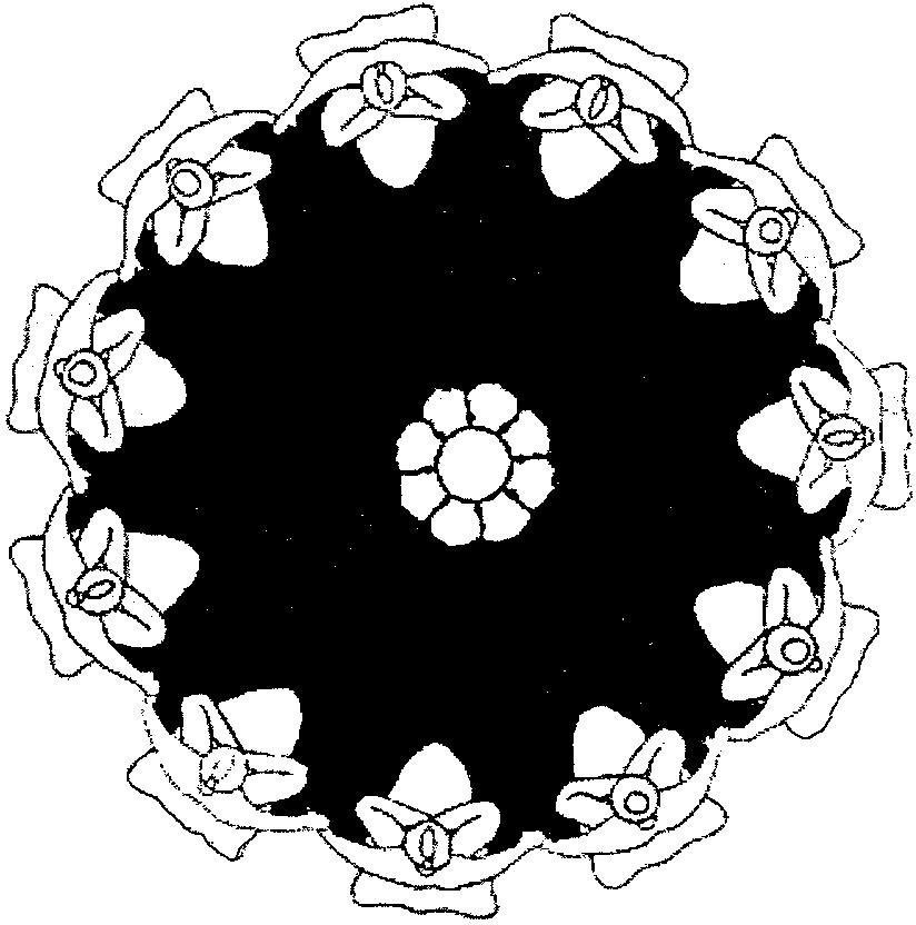 Healing Ring of Tan-tra Eleven or more people sit in a circle, in any comfortable, cross-legged position. Form an unbroken circle by holding hands.* EYE POSITION: The eyes are closed.