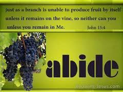 Jesus Himself said, Abide in Me, and I in you.