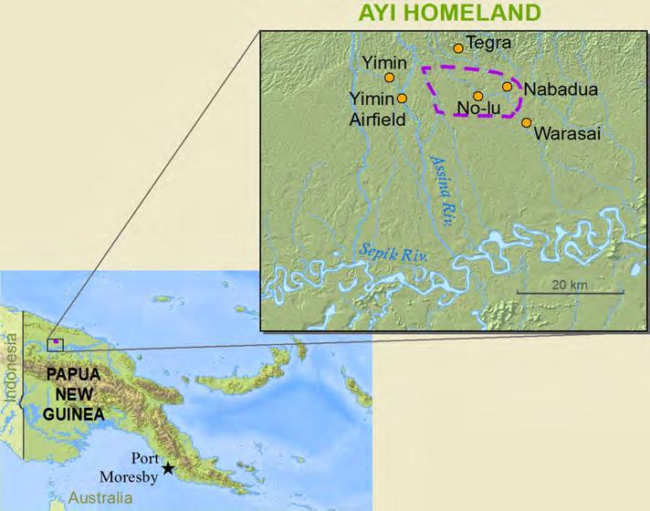 Each village is an entity in itself with occasional disagreements and fights between them, but also intermarriage. The first outside contact made with the Ayi people was sometime after World War II.