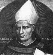 As bishop of Tours, St. Martin did all he could to make the people of France friends of Jesus and give up their unbelief. He prayed, he worked and preached everywhere.