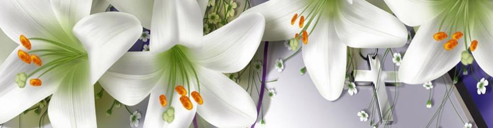 Easter Flower Donations In Loving Memory of Parish Members and Their Families Divine Mercy Sunday April 23 2:00-4:00PM Our Lady of Lourdes, Bettendorf Come celebrate Divine Mercy Sunday