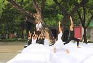 and mind. The balance is the key concept of Hatha Yoga. Conclusion Dance is one of the performing arts using movement of the body and graceful postures to express feelings and emotions.