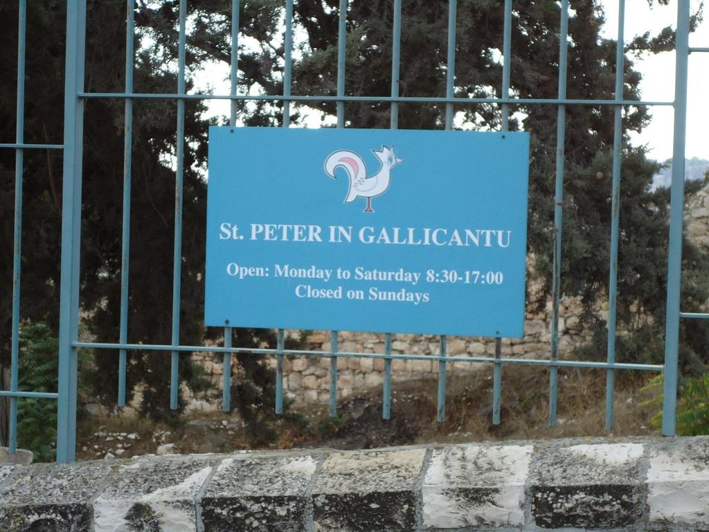 November 13 St Peter