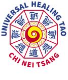 Universal Healing Tao System Chi Nei Tsang V Life Pulse Massage Case Study Form Application for CNT V 274/1 Moo.