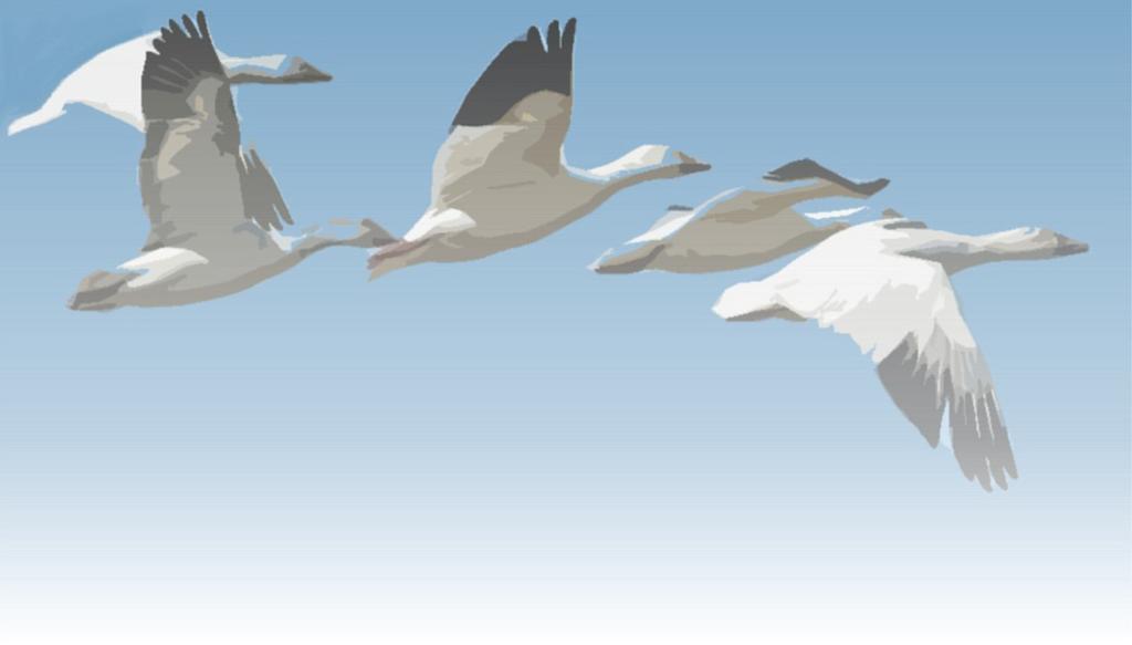 LEADERSHIP LESSONS FROM GEESE 1. As each goose flaps its wings it creates an uplift for the birds that follow.