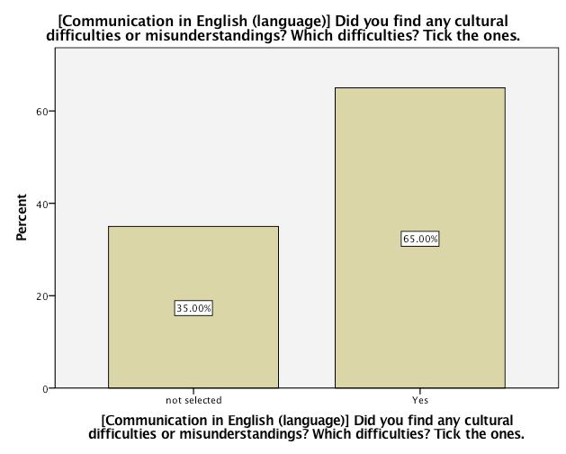 [Communication in English (language)] Did you find any cultural