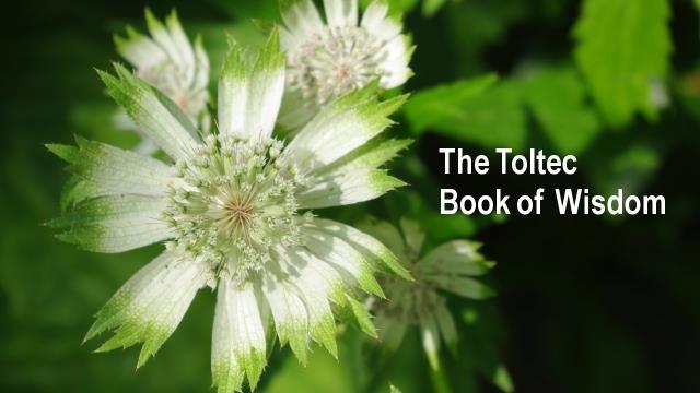 The Toltec book of wisdom With everything considered, let me present a brief story from the background of the ancients' ideology that may reflect the critical spiritual principles with which humanity