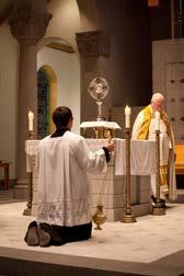 Catholics, and by that I mean lay people as well as priests and religious, not only have the right, but also the duty to evangelize.