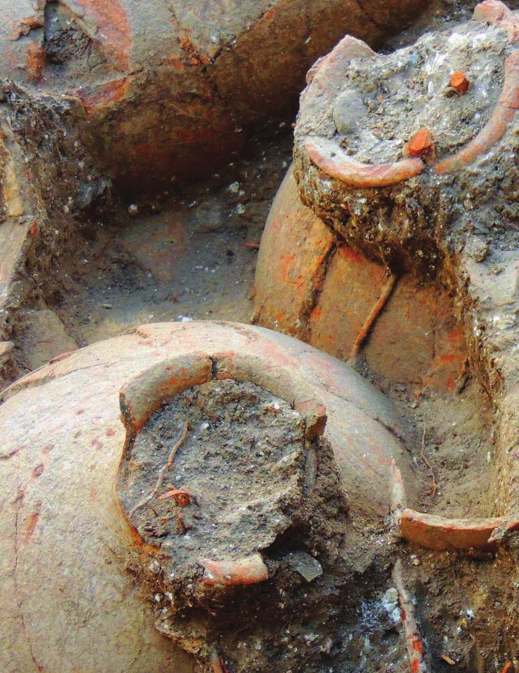 THE KOSHER ISSUE Ancient trash reveals the eating habits of Jews 2,000 years ago 158