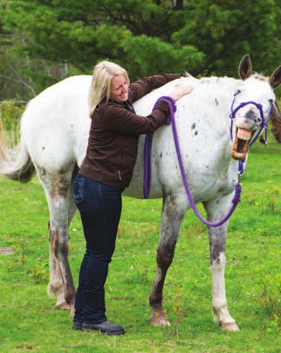 BG Buddy, my first Reiki Master and the horse who started it all releases energy with a yawn. England, so I did though it was with trepidation that I went to the class.
