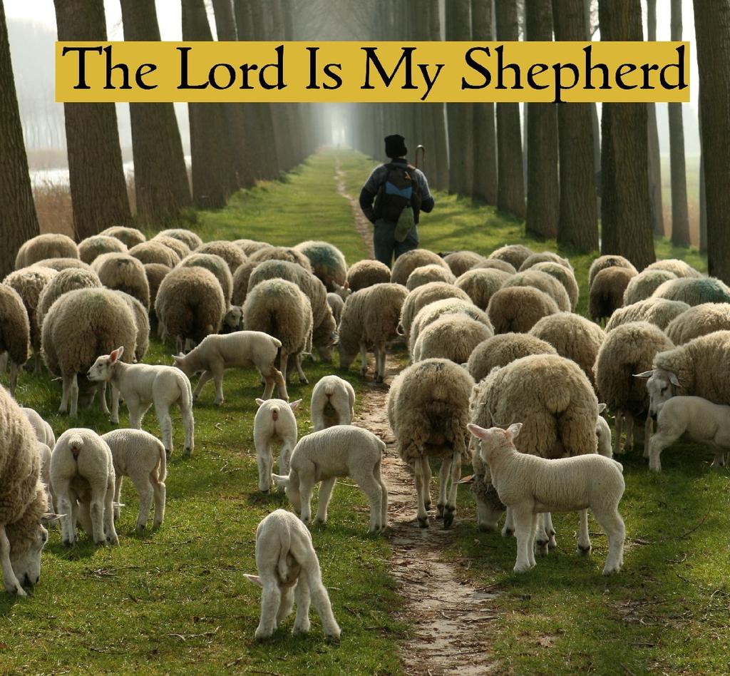 The LORD Is My Shepherd Text: Psalm 23:1-6 Series: The Psalms, #05 Pastor Lyle L. Wahl August 6, 2017 Theme: God Shepherds His Sheep Perfectly.