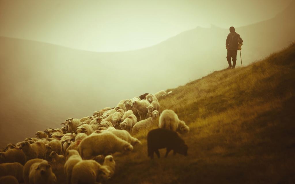 The Lord is my Shepherd... Who is this good, understanding, and concerned Shepherd?