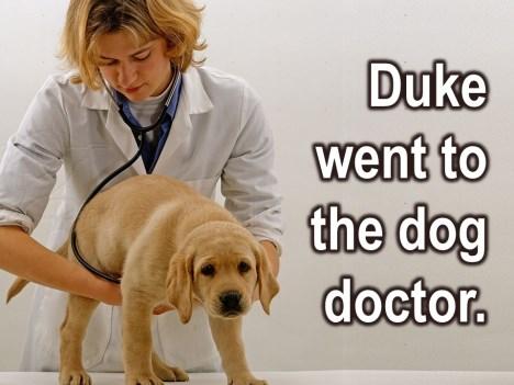 So, his owners, being very caring and compassionate people, took Duke