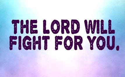 14 The Lord will fight for you, and you shall hold your peace and remain at rest.