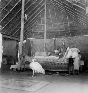 PIGEONS: In September 1945, a visitor placed two pigeons on Bhagavan's lap and would not take them back.
