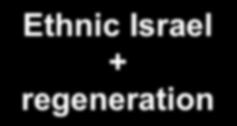 All Ethnic Israel