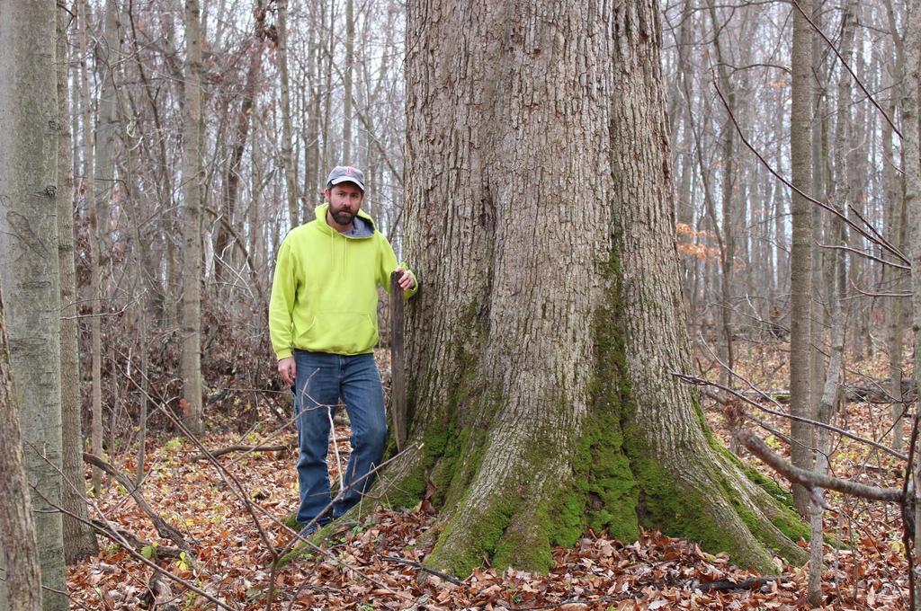 The author standing next to a 400 year old Burr Oak at Goll Woods State Nature Preserve, in Fulton County, Ohio, where Captain James Riley and Benjamin Hough crossed paths.