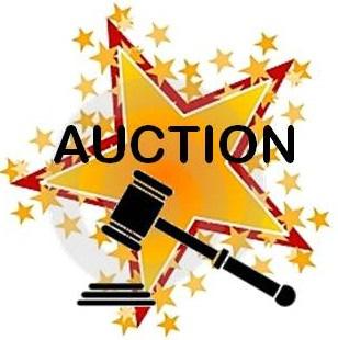 YOUTH AUCTION - "Red Carpet" The GUMC Missions Auction is fast approaching (March 4th).