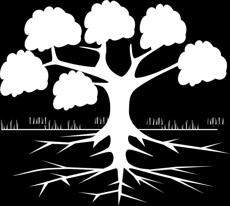 Can you think of a way we can make our life-tree the strongest possible? 5. Who is part of your family tree?