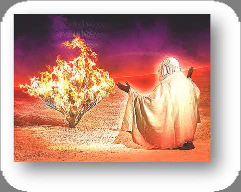 Abraham seemed to have some understanding of this divine plan of redemption when he named the place Yahweh yireh (I AM will provide).