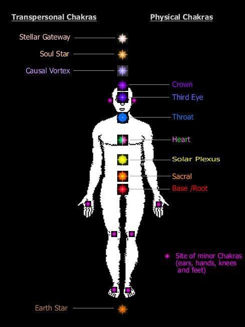 functioning of each chakra. And since the vibratory field of light also activates color and tone, each of the chakra centers produces its own specific color and sound.