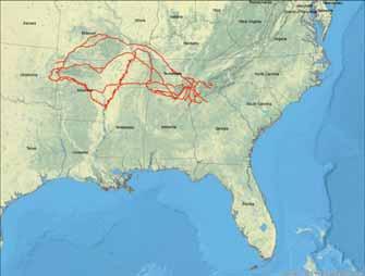 Andrew Jackson and Indian Removal Andrew Jackson (Ritchie 1860) Routes adapted from Trail of Tears