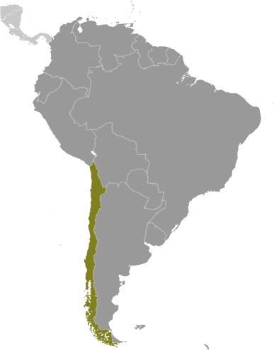 The population of Chile is close to 18 million people.