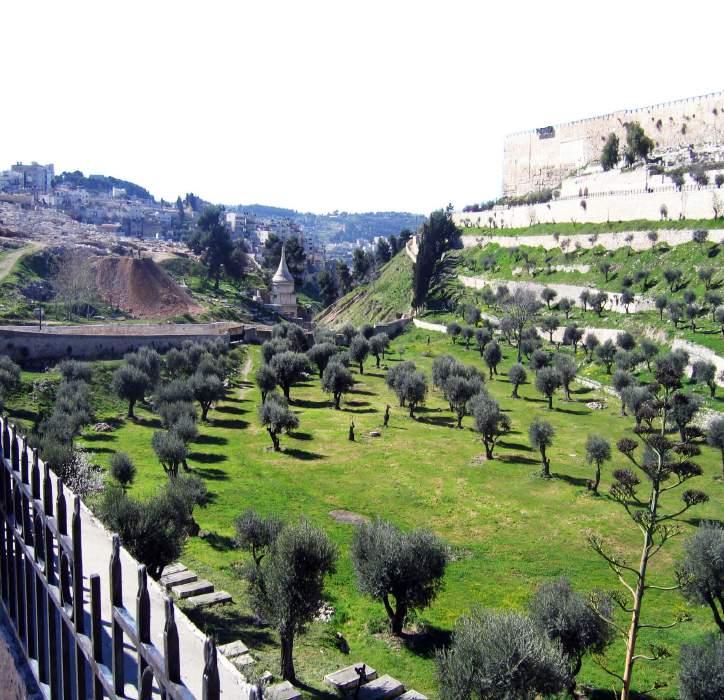 Day 8 Mt. Of Olives, Western Wall, Mt. Zion, Gallicantu (B/L/D) This morning we will drive up to the Mt.