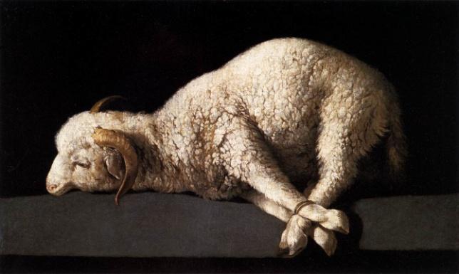 Fifth Reading 32 HE WAS LED AS A SHEEP TO SLAUGHTER; AND AS A LAMB BEFORE ITS SHEARER IS SILENT, SO HE DOES NOT OPEN HIS MOUTH.