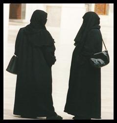(abayah, jilbob, or chador) and veil (hijab or chador). Concerns of modesty are the reason for the dress.
