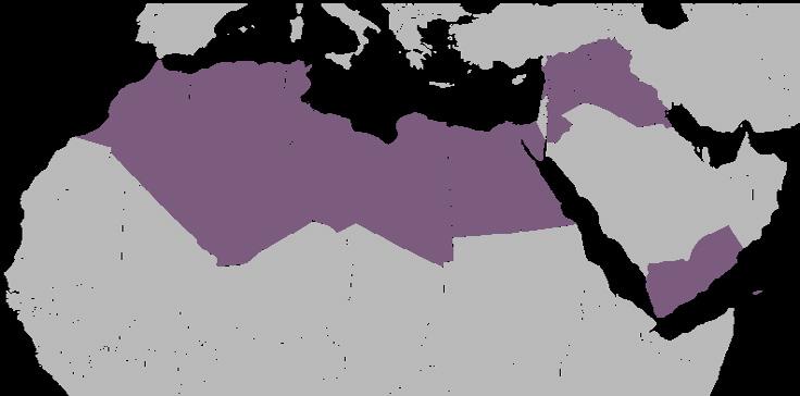 GLOBAL EXPOSURE the ruins of secular nationalist pan-arabism, the Muslim Brotherhood rose to solve the conundrum of Arab stagnation and marginality.
