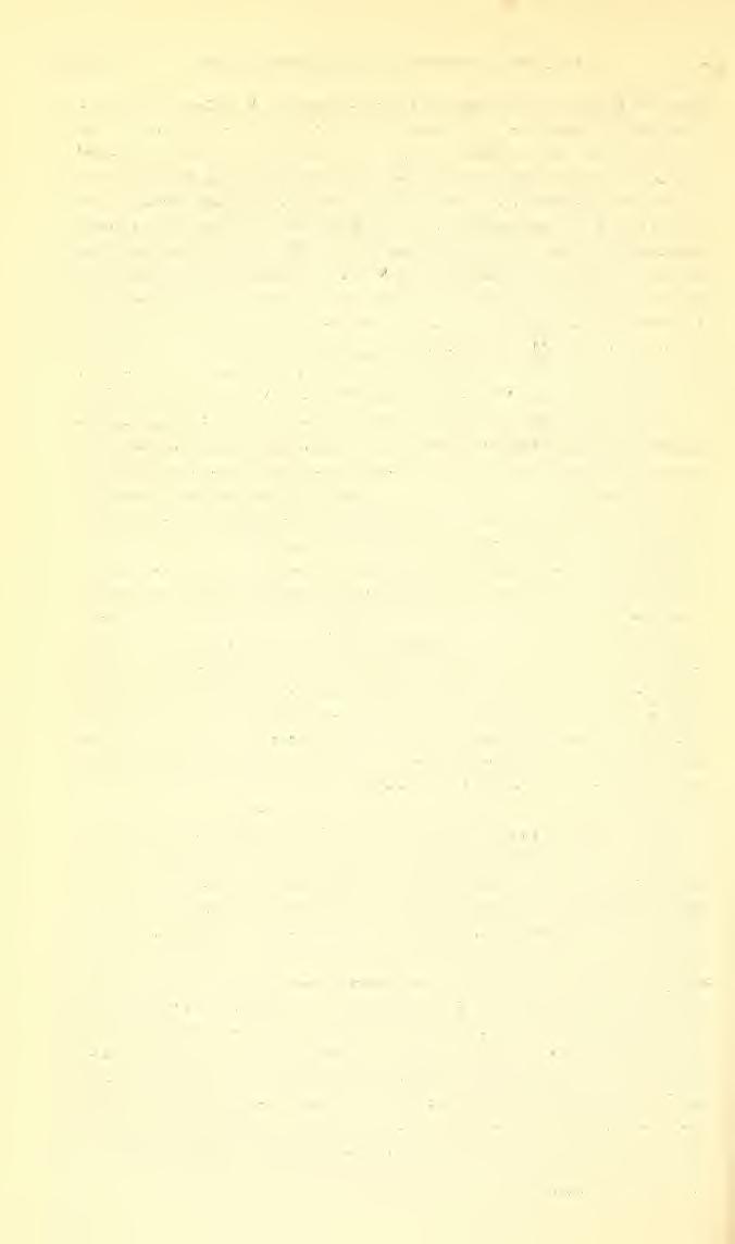 222 PROCEEDINGS OF THE NATIONAL MUSEU:M vol. s4 ards, Jr.) ; Cedar Mountain, 2,900 feet, June 29, 1933. July 24, 1929, and July 22, 1931 (Henry K. Townes, Jr., in Utt.