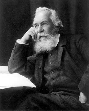Ernst Haeckel Prominent German scientist and expert in zoology and embryology.