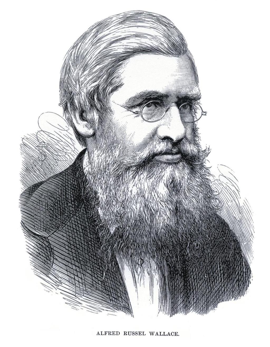 Final Causes in Alfred Russel Wallace s Science and Cosmology (Presented at the Alfred Russel Wallace Centenary: Natural Selection and