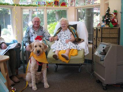 3. Pets and other contacts Try and involve people who are in contact with the elderly in various ways.