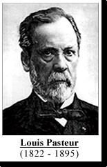 33 Louis Louis Pasteur Pasteur sealed sealed the the fate fate of of spontaneous spontaneous generation generation in in aa series series of of careful careful experiments, experiments, in in 1861.