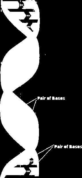 pairs of 4 separate