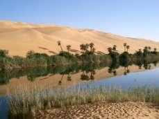 Sahara Desert The Sahara Desert is the largest dry desert in the world. South of the Sahara Desert is a region called the Sahel.